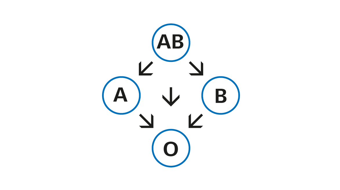 Instructions for blood transfusions - Blood Service