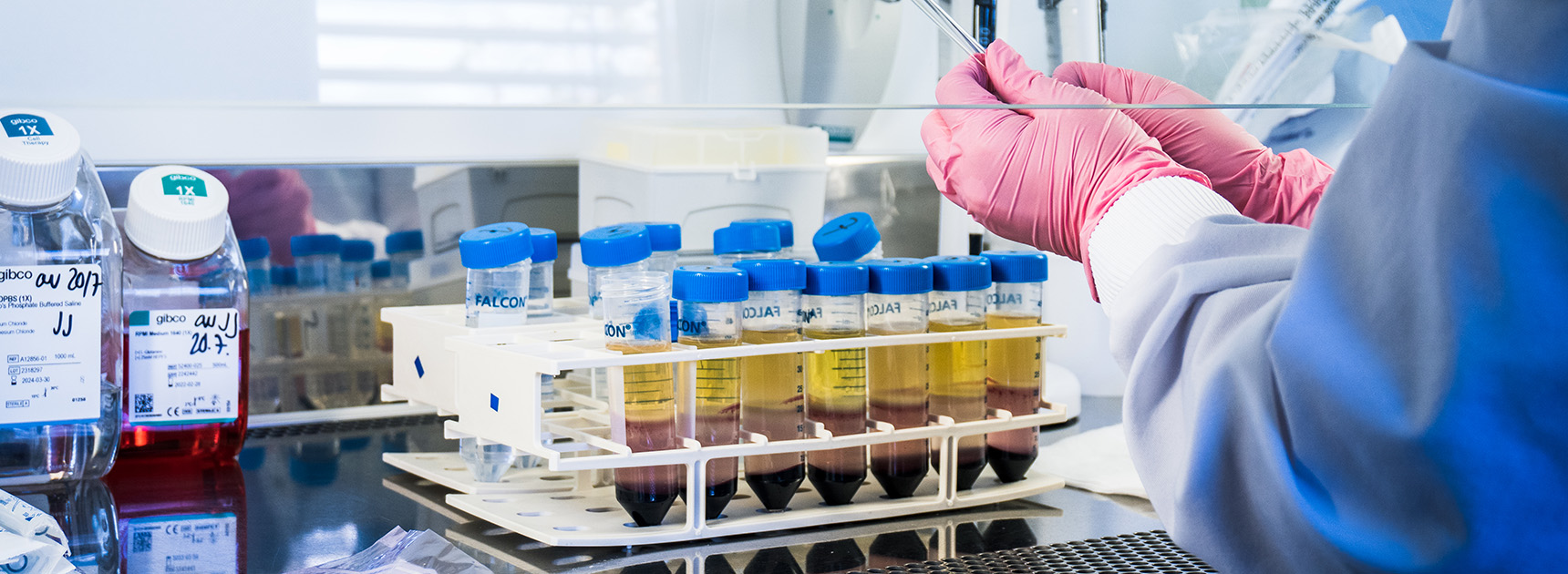 Person handling Blood Service Biobank samples in a laboratory.